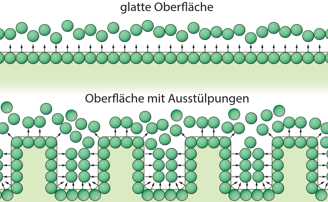 Prinzip der Oberflächenvergrößerung