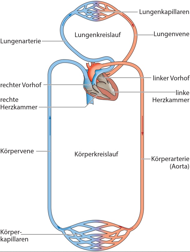 Verschluss