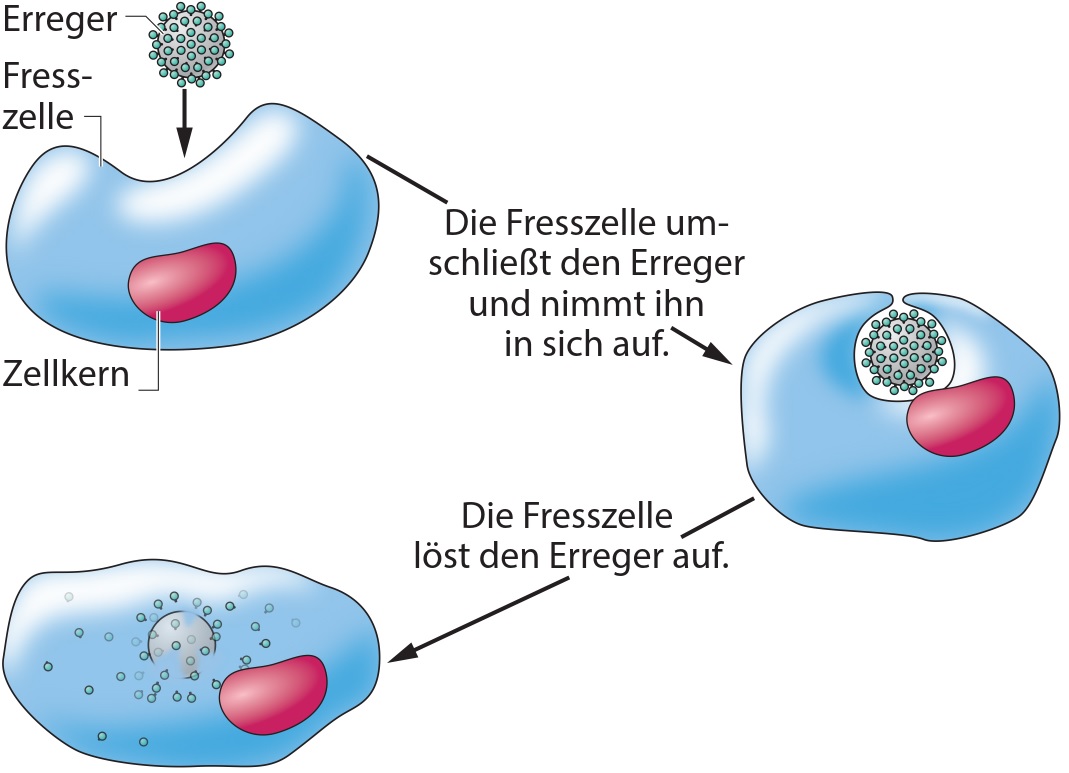 Verschluss